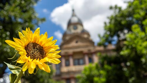 denton Courthouse